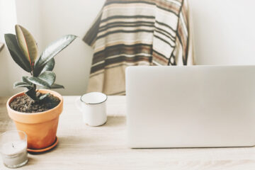 Laptop and plants