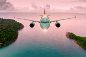 Plane flying over forest and pink sea