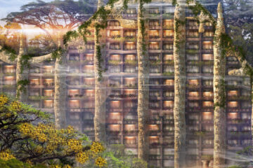 The Colony Hilton, WorldWild