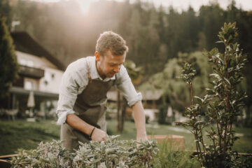 Torgglerhof Apple hotel
