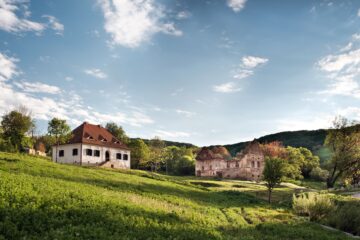 Bethlen Estates - Philip Vile