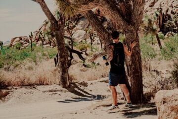 Traveller in desert