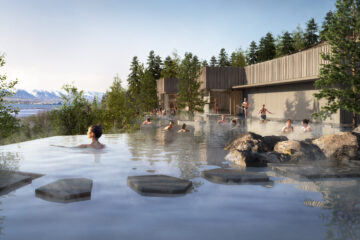 Forest Lagoon, Iceland