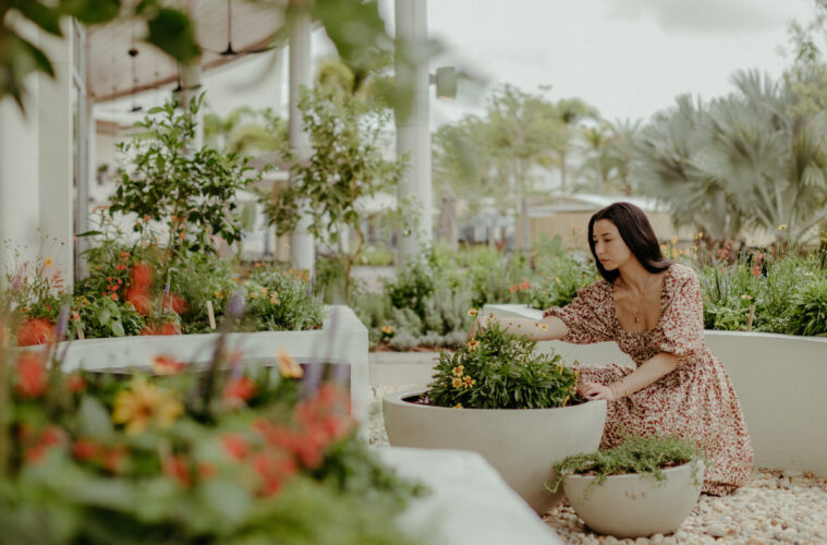 JW Marriott Orlando Bonnett Creek