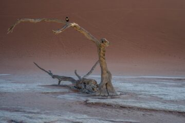 Namibia
