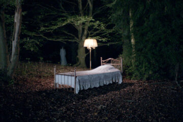 Peak Fear Experiment, Liseberg