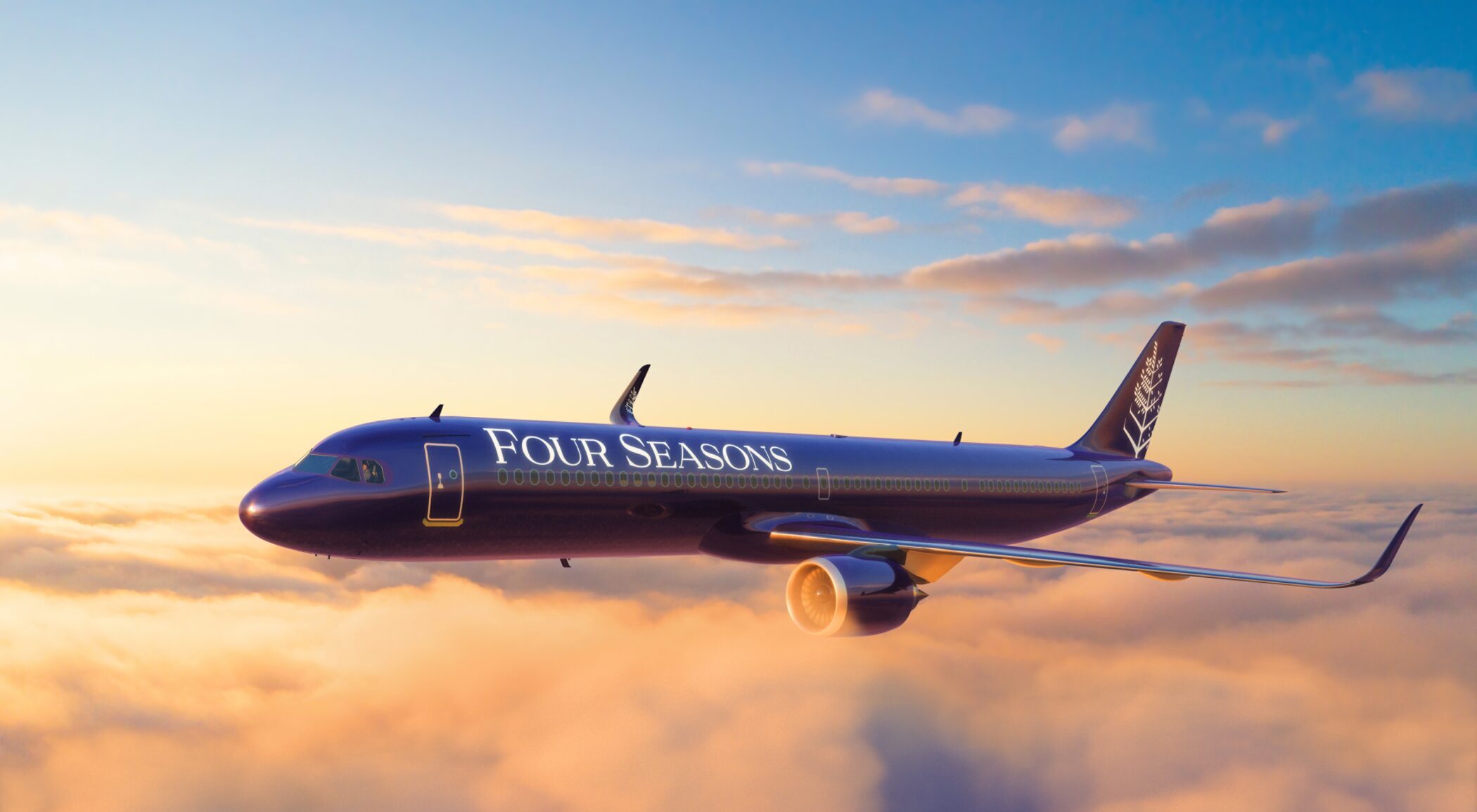 Four Seasons Private Jet Experience